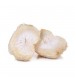 Thanvi Shroomness Lion's Mane Mushroom  Premium Grain Spawn (Seeds)  200 grams